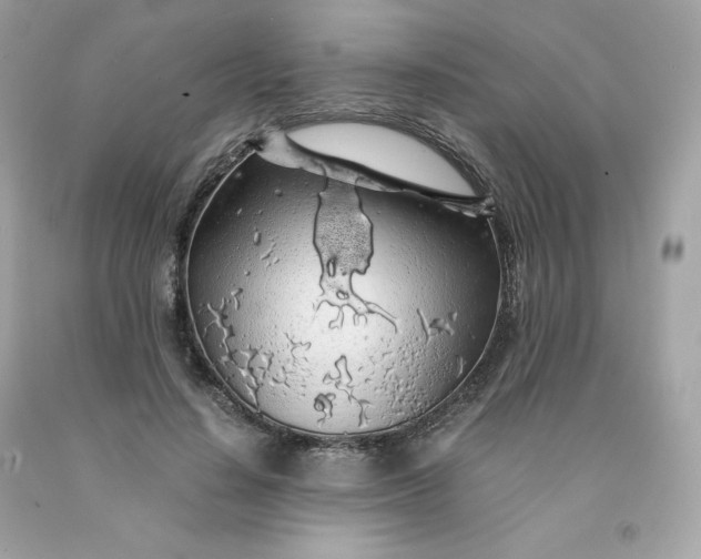 X0000091490644200709061901