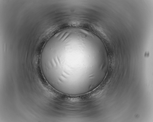 X0000091490645200709061901