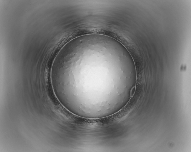 X0000091490646200709061901