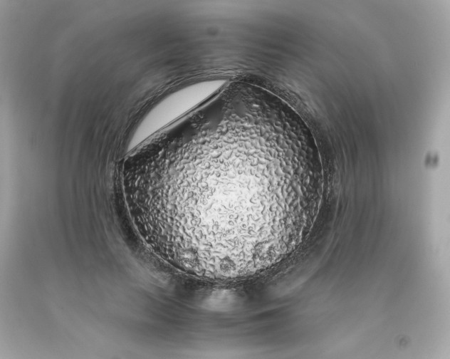 X0000091490647200709061902