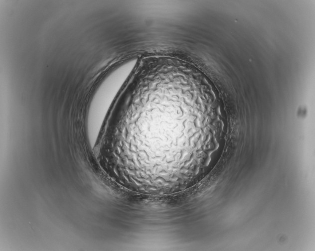 X0000091490648200709061902