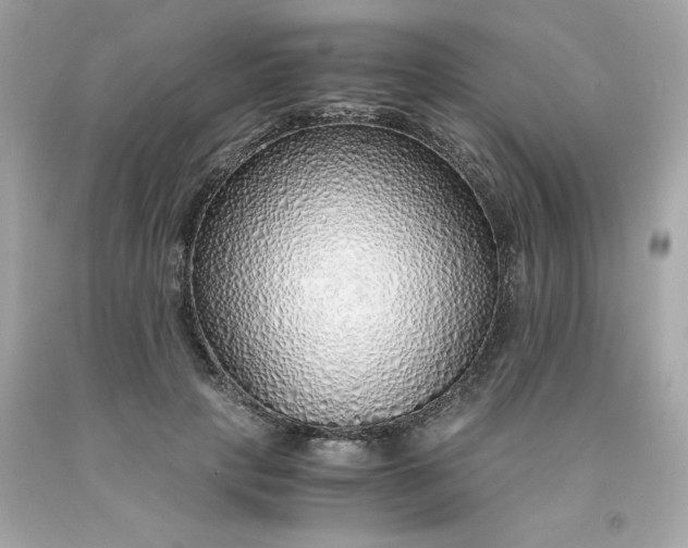 X0000091490649200709061902