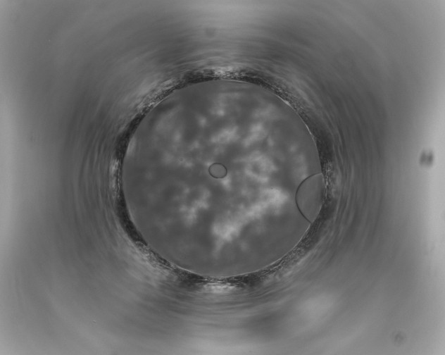 X0000091490650200709061902