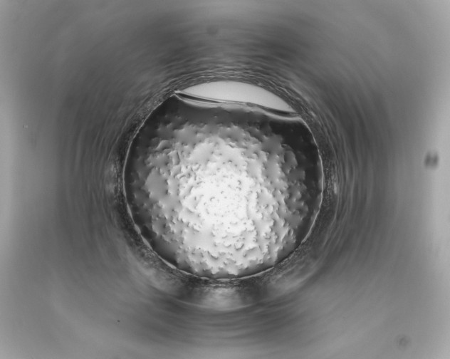 X0000091490651200709061902