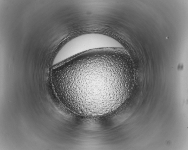 X0000091490652200709061902