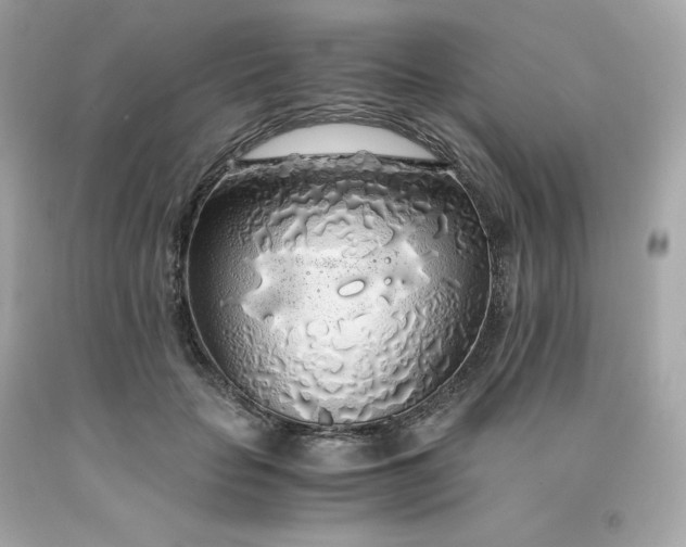 X0000091490653200709061902