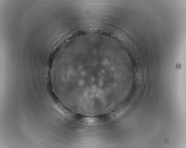 X0000091490654200709061902