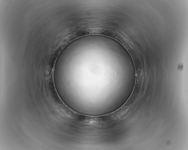 X0000091490655200709061902