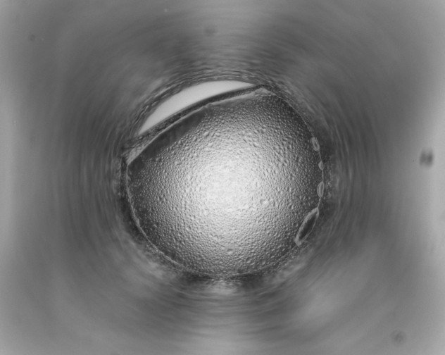 X0000091490656200709061902