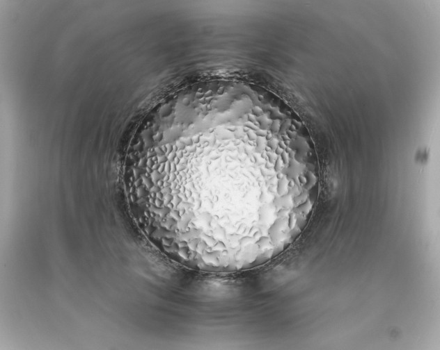 X0000091490657200709061902