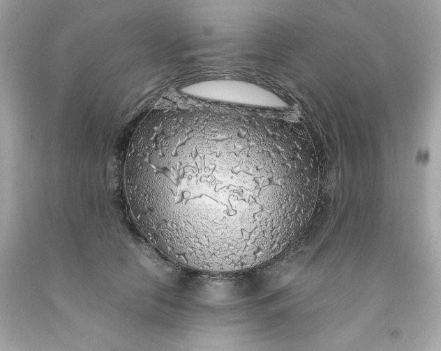 X0000091490658200709061902