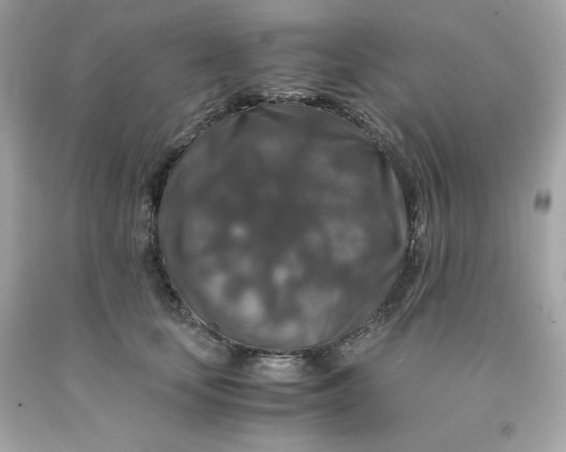 X0000091490659200709061902