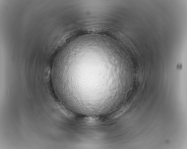 X0000091490660200709061902