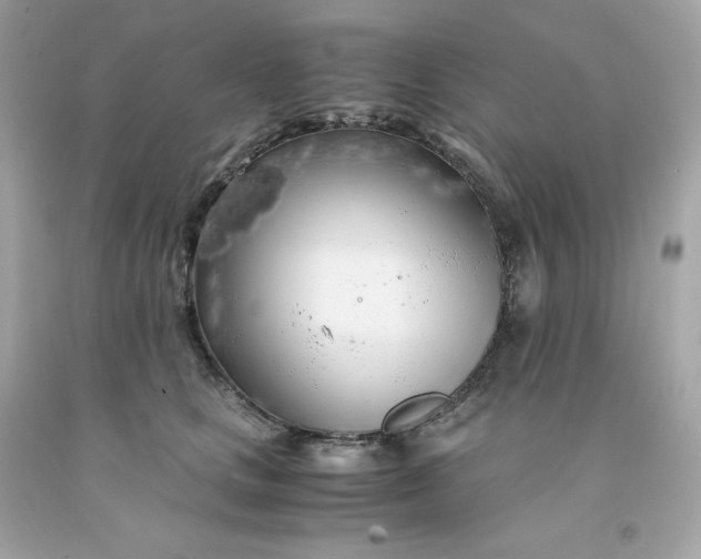 X0000091490661200709061902