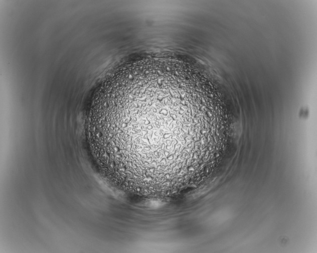 X0000091490662200709061902