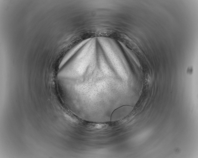 X0000091490663200709061902