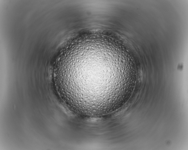 X0000091490664200709061902