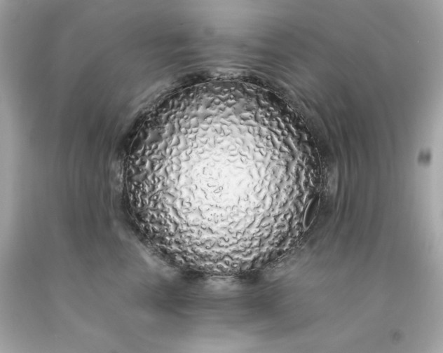 X0000091490666200709061902