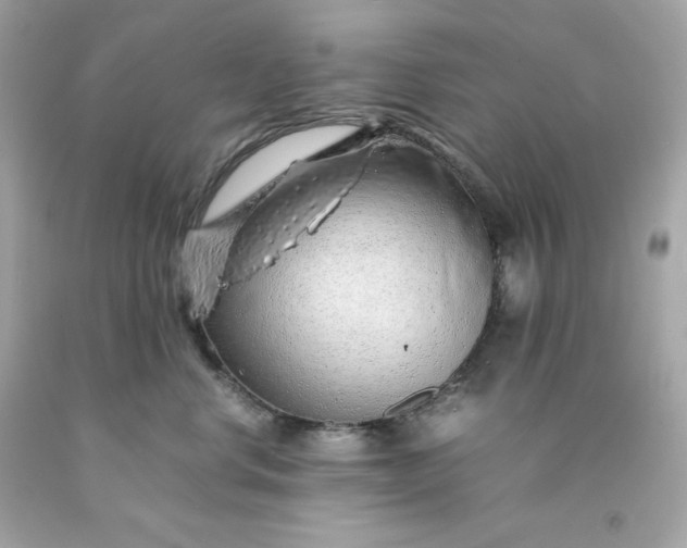 X0000091490668200709061902