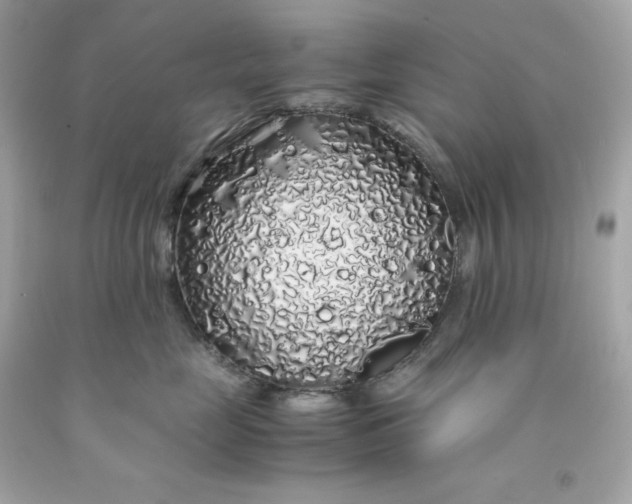 X0000091490669200709061902