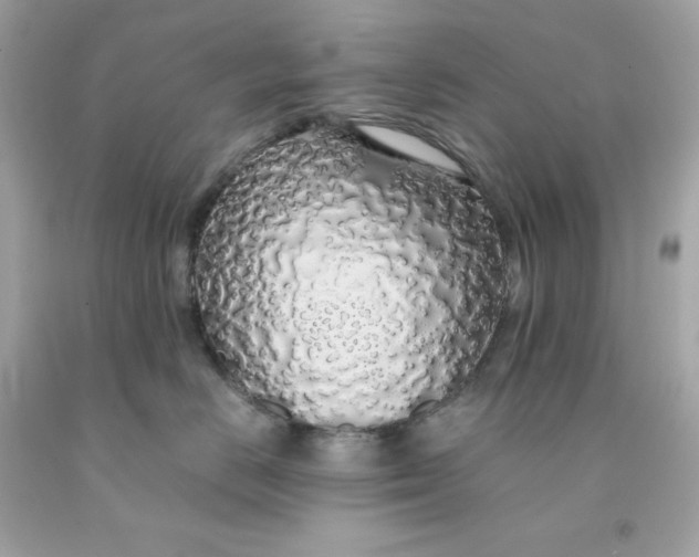 X0000091490670200709061902