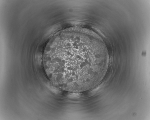 X0000091490671200709061902