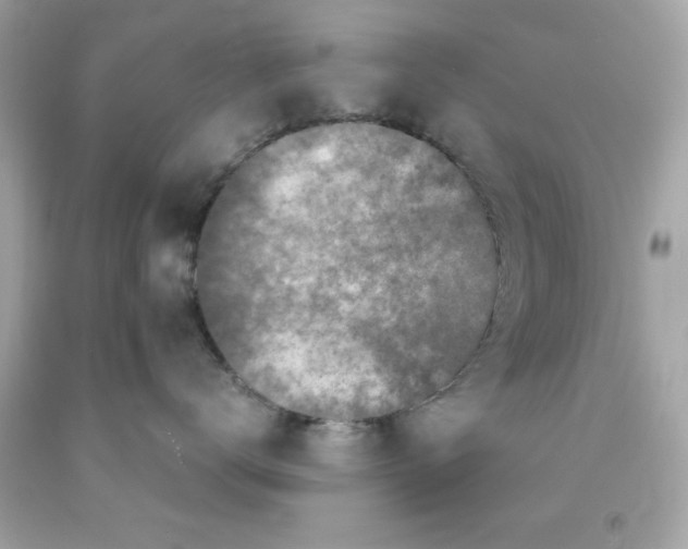 X0000091490672200709061902