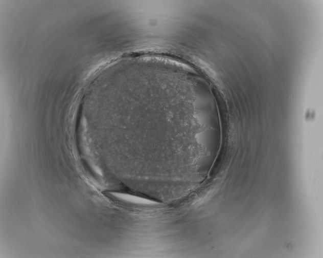 X0000091490673200709061901