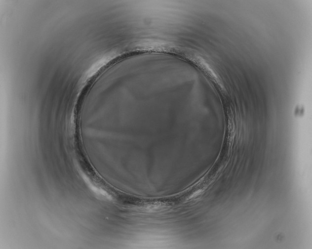 X0000091490674200709061901