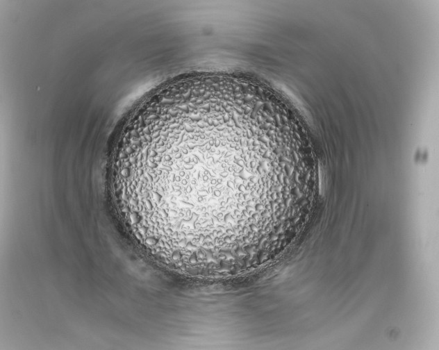 X0000091490675200709061901