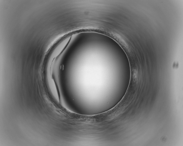 X0000091490676200709061901