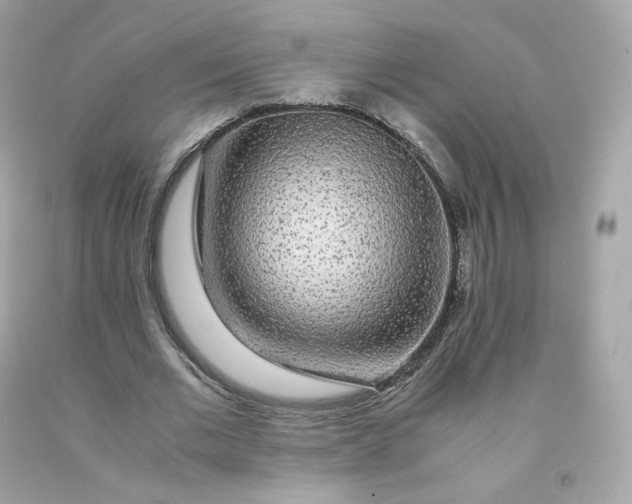 X0000091490677200709061901