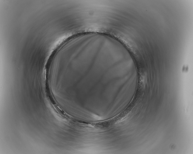 X0000091490678200709061901