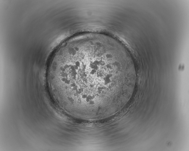 X0000091490679200709061901