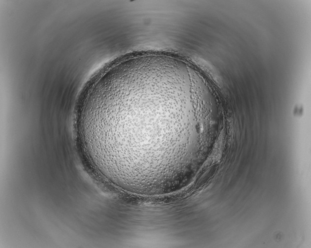 X0000091490680200709061901