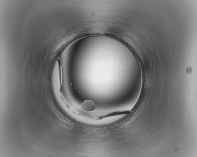 X0000091490681200709061901