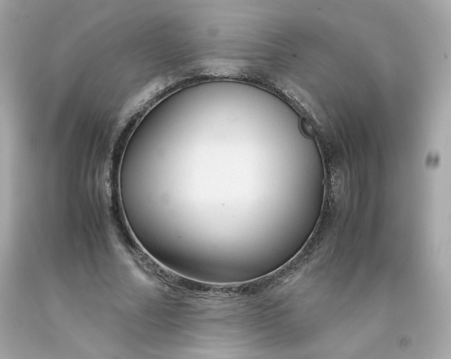 X0000091490682200709061901