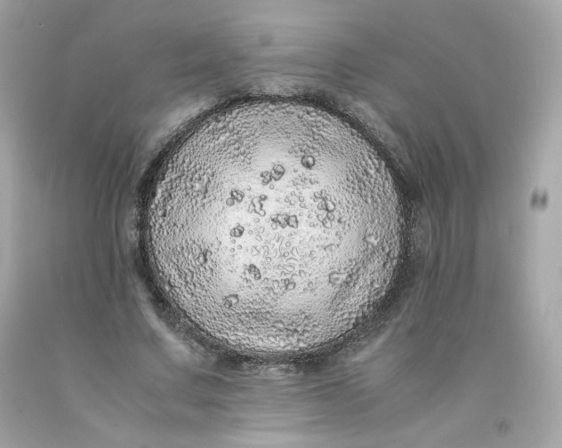 X0000091490683200709061901