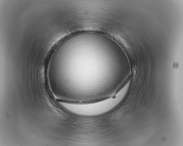 X0000091490684200709061901