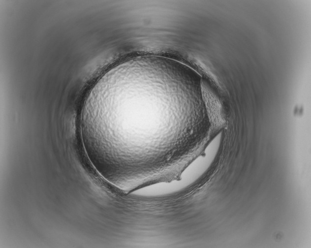 X0000091490685200709061901