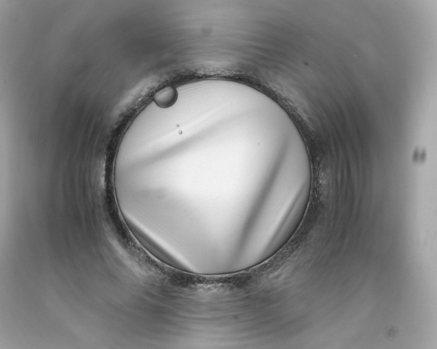 X0000091490686200709061901