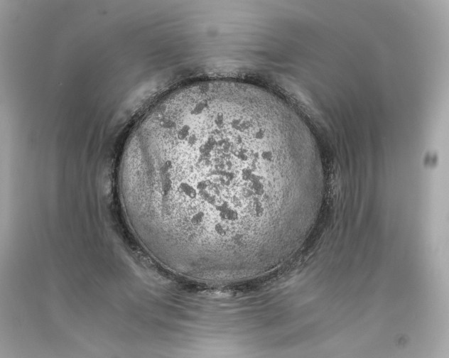 X0000091490687200709061901