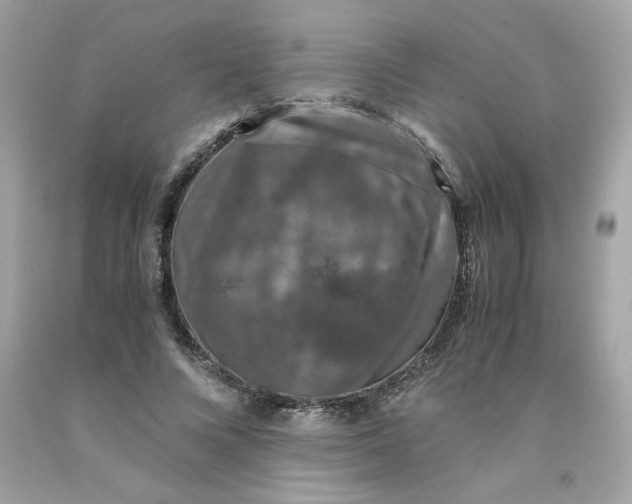 X0000091490688200709061901