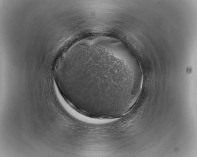 X0000091490689200709061901