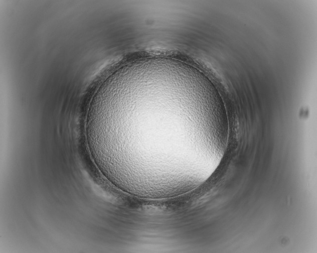 X0000091490690200709061901