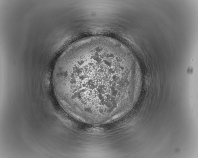 X0000091490691200709061901