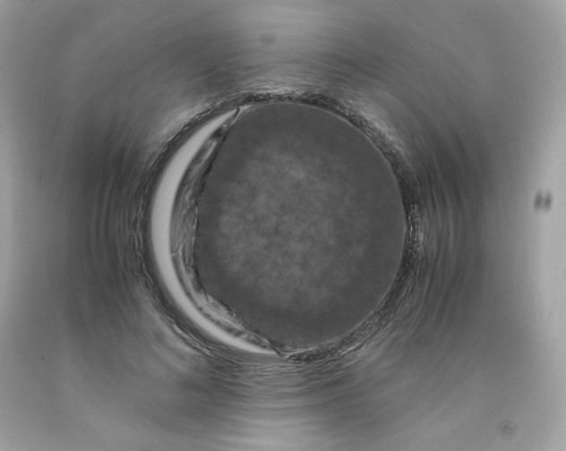 X0000091490692200709061901