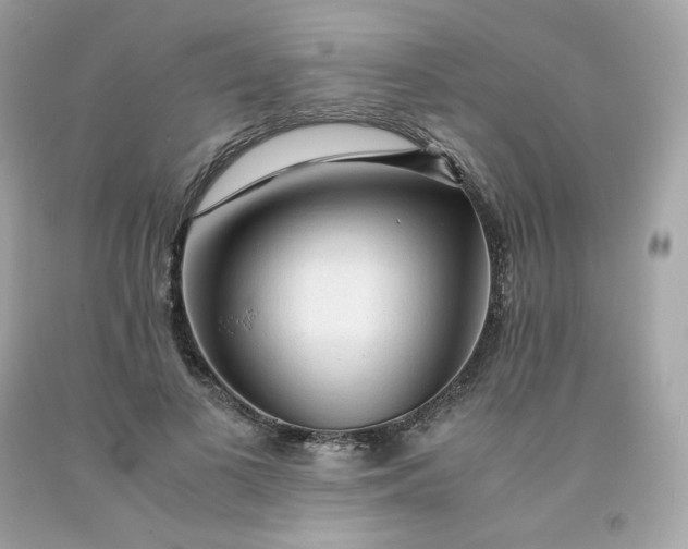 X0000091490693200709061901