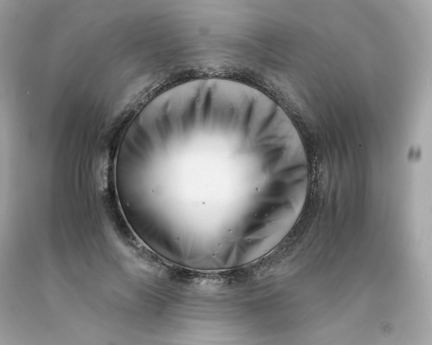 X0000091490694200709061901