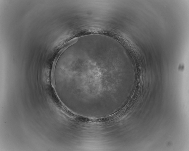 X0000091490696200709061901